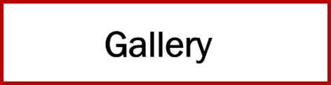Graphical user interface, application, Word

Description automatically generated